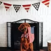 Cocker Spaniel Dog And Flag Diamond Painting