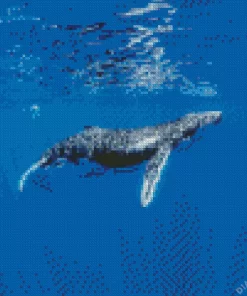 Humpback Whale Diamond Painting