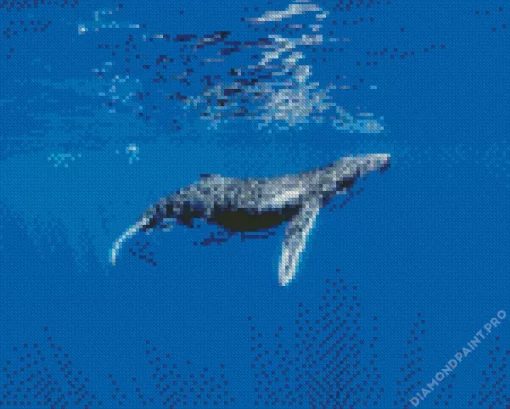 Humpback Whale Diamond Painting