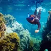 Man Snorkeling Underwater Diamond Painting