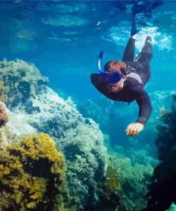 Man Snorkeling Underwater Diamond Painting