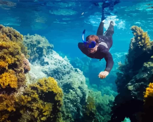 Man Snorkeling Underwater Diamond Painting