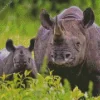 Mom And Baby Black Rhino Diamond Painting