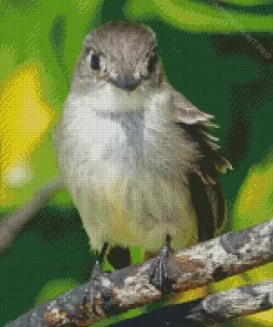 Tyrant Flycatchers Bird Diamond Painting