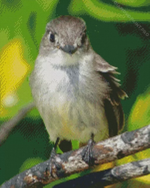 Tyrant Flycatchers Bird Diamond Painting